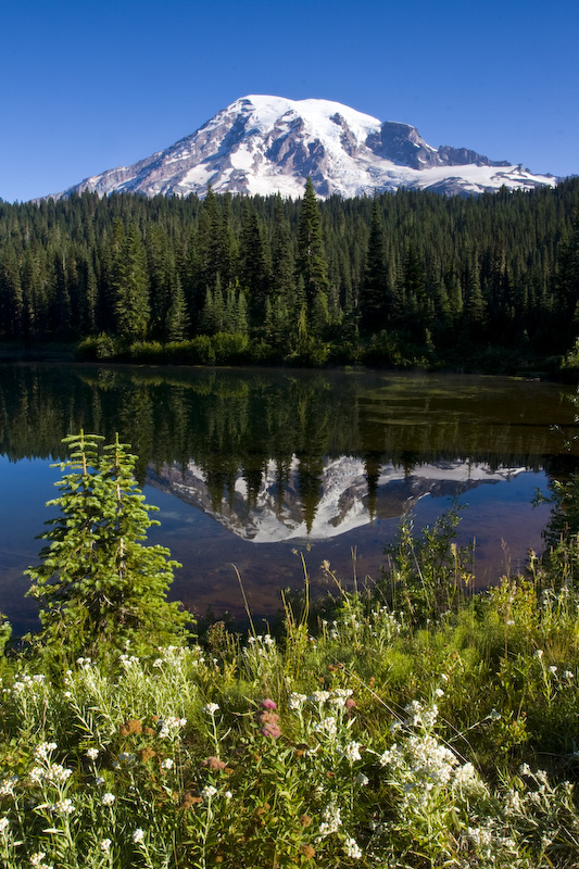 Mount Rainier Reflected In Reflection Lake